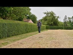 Hedge Trimmer - Which one is best for you