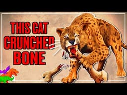 Pachypanthera | When Cats Became Hyenas