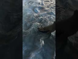 No Deeper Meaning Needed — Just Love for Water