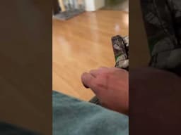 Sneaky.