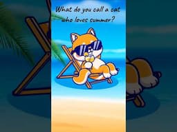 Funny Summer Joke