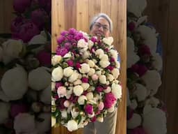 Peony week is done for us, such a great run this year! This is the biggest week for flower farmers