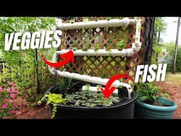 Mini Pond + Aquaponics - Step by Step Build