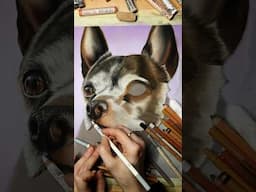 Pastels + Pastelmat Paper = Amazing Pet Portrait Drawing 🥰 #dog #dogshorts #petportrait
