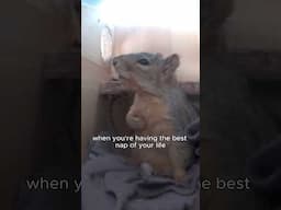 and God hits you with a jumps scare...