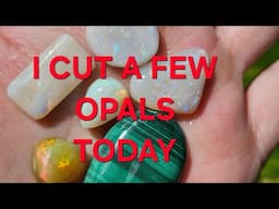 GEM AND MINERAL SOCIETY/GET YOUR EARPLUGS