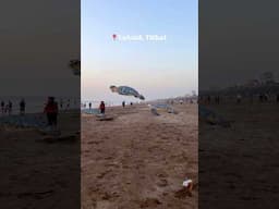 Turtles flying at beach #cgi #turtule #vfx #beach #nature