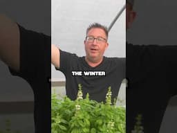 Trusted Seeds Produce Stronger Plants - What You Need To Know