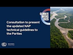 Consultation to present the updated NAP technical guidelines to the Parties - ENG