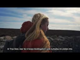 Keeping our Welsh islands safe
