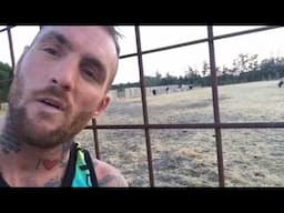Primer encuentro con PELADO - Toro de la Peña