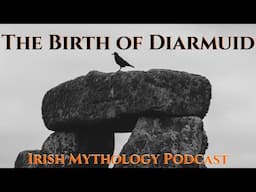 The Birth of Diarmuid Part 2 - Fianna Saga (Irish Mythology Podcast)