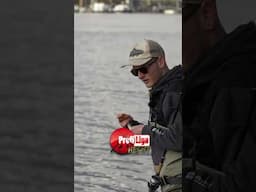 Biss vor den Füßen! 🎣 #profiligahecht #pike #fischundfang