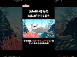 海の生き物わかるかな？ #nokkanaanimation #ノッカーナアニメーション #知育アニメ #shorts