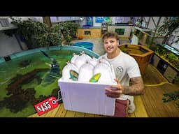 Buying FISH for ALL of My PONDS!!
