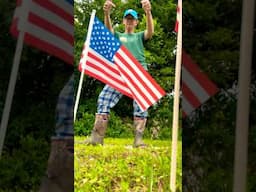 🇺🇸 AMERICAN FLAGS 🇺🇸 #shorts #americanflags #godblessamerica #americanpatriot 🇺🇸