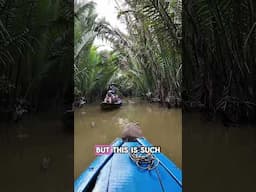 How BEAUTIFUL is Vietnam?! 🇻🇳