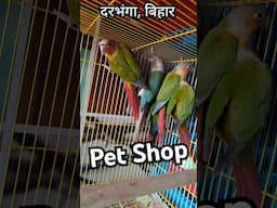Pet Shop, Darbhanga Bihar #darbhanga #bihar #petshop #shorts