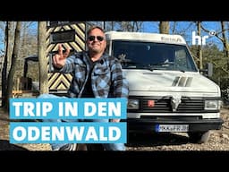 Tiny-House-Hotel im Wald | Der Camping-Check