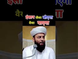इंसान जैसा बोएगा वैसा पाएगा | @Shahi Imam Punjab | Sawal O Jawab