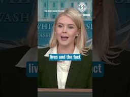 NBC Tries to Downplay Persecution of White Farmers. Leavitt Doesn’t Let Them Get Away with It
