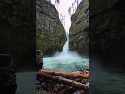 Can you believe this is Oregon!? 🤯😍 #travel #oregon