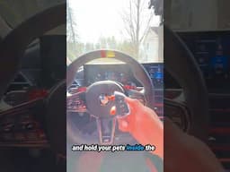 Leave Pets in Your BMW Without Triggering the Alarm (Secret Key Fob Trick!)
