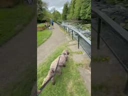 Watsons Adventures - River Almond