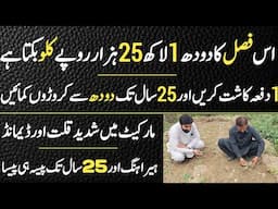 Heera Hing Most Expensive Crop in Pakistan | High Profitable Crop Business Idea 2025 | Ajmal Hameed