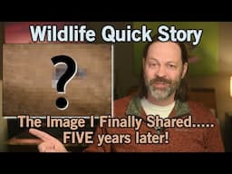A Wildlife Story - The Image I Haven't Shared for Five Years.... Until Now
