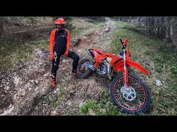 Red Stag - Enduro Park