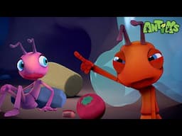 Boo’s Berry Mission 🫐 | Antiks 🐜 | Funny Cartoons for Kids
