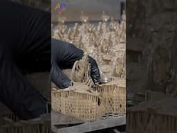 How to Replicating Buddhist Treasure with 3D Printing Technology