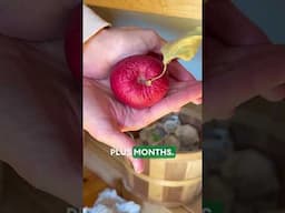 Food preservation tips.  Zero refrigeration. #homesteading #survival #foodpreservation