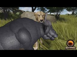 Finding Africa's Rarest Lion! | ROBLOX Wild Savannah