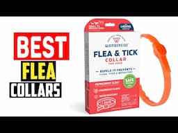 ✅Top 5 Best Flea Collars for Dogs in 2025