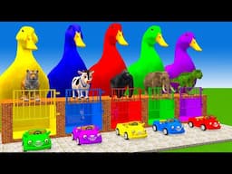 Long Slide Game With Elephant Gorilla Buffalo Hippopotamus Tiger - 3d Animal Game - Funny 3d Animals