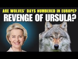 Why wolf directive changed in Europe?