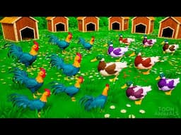 Hens vs Ducks! Funny Egg-Hatching Battle Begins in Farm Diorama | Hilarious Animal Moments