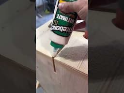 How to install Walnut Spline Joints!! #construction #carpentry #tips #howto #fyp #woodworking