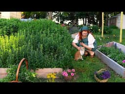 Delicious Edible Flower Recipes: 2.5 Hour Compilation 🌷 Spring Country Living 🌷 Cooking ASMR
