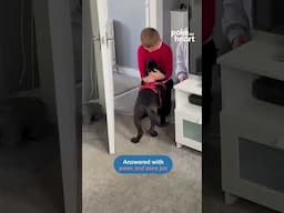 He asked for a best friend and got one with paws
