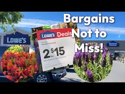 May Bargains at Lowes Garden Center - PERENNIALS, ANNUALS & PROVEN WINNERS!