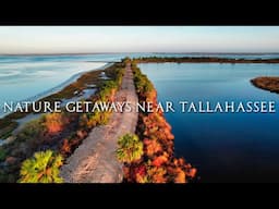 Top 5 Nature GETAWAYS Near Tallahassee, Florida!