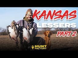 Kansas Lessers Part 2 | Hunting Multiple Dogs!