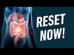 Gut Scientist Reveals What Most Miss in a Microbiome Reset