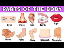 Learn Body Parts For Kids with Spellings, Hair, eye, Knee, Toe, Mouth, Tooth, Chest, Leg, Nose, ear