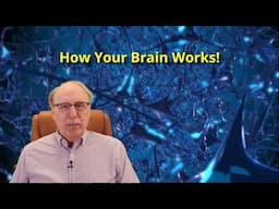 How Your Brain REALLY Works: What AI Still Doesn't Understand  Pt.1