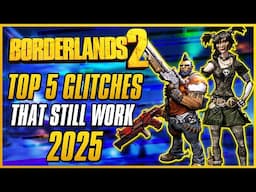 TOP 5 GLITCHES & EXPLOITS THAT STILL WORK 2025 | Borderlands 2 Damage, Invincibility, & Infinite XP