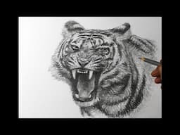 How to Draw a Tiger Roaring || Quick Demo Sketch
